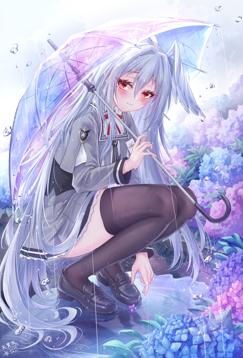 1girl absurdres aperture black_shoes black_thighhighs blue_archive blue_flower blush closed_mouth feathered_wings flower from_side grey_hair grey_jacket grey_skirt head_wings highres holding holding_umbrella jacket long_hair looking_at_viewer purple_flower purple_umbrella rain red_eyes red_ribbon ribbon shoes sidelocks single_wing skirt smile solo squatting suzumi_(blue_archive) thighhighs umbrella very_long_hair white_wings wings