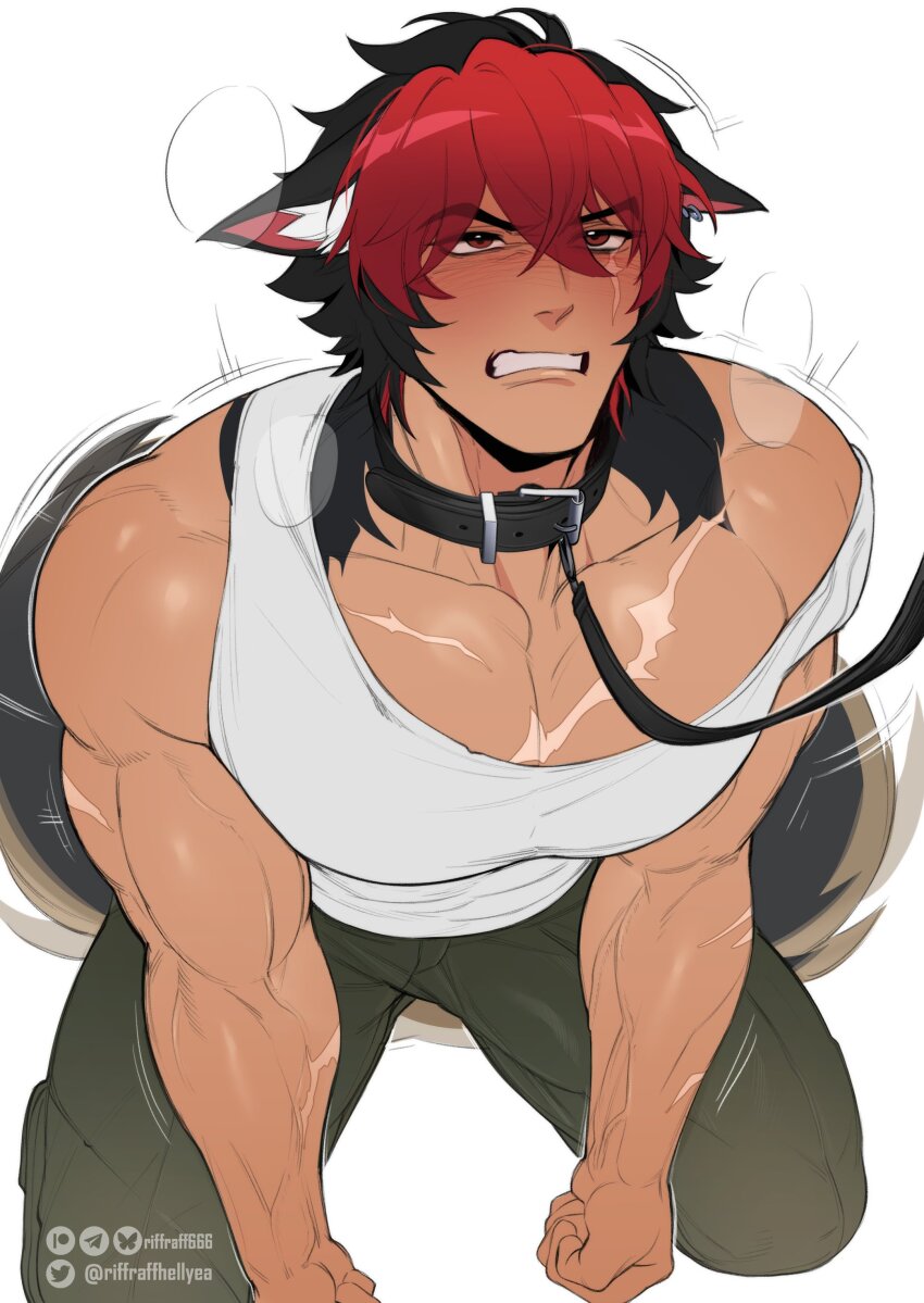 absurdres animal_ears bara blush brown_pants clenched_teeth collar commentary earrings english_commentary highres jewelry kneeling komano_manato leash male_focus multicolored_hair muscular muscular_male pants pectorals riffraffhellyea scar scar_across_eye scar_on_chest scar_on_face shirt tail teeth white_background white_shirt wolf_boy wolf_ears wolf_tail zenless_zone_zero