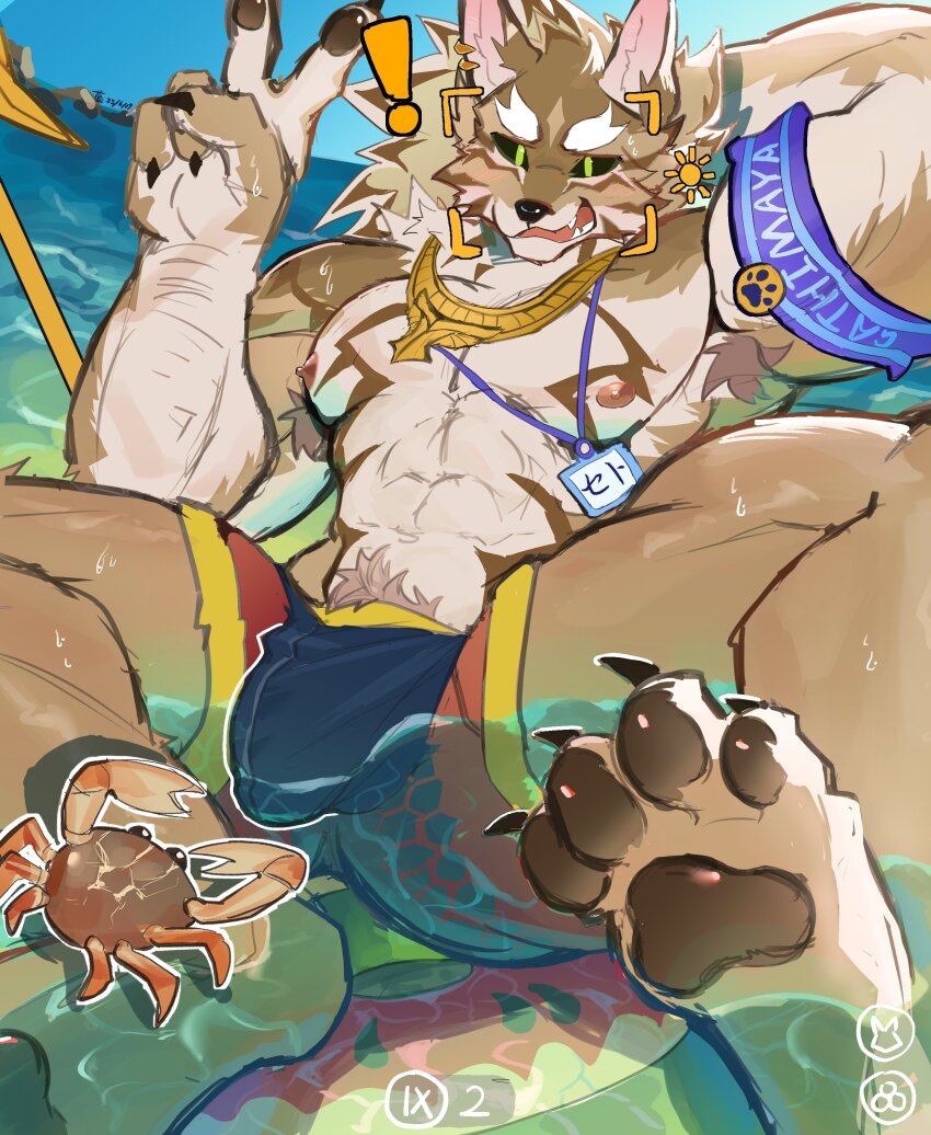 1boy abs absurdres animal_ears bara barefoot beach black_sclera black_shorts bulge character_name chinese_commentary claws colored_sclera commentary_request crab fangs furry furry_male green_eyes highres jackal_boy jackal_ears jewelry lan_uxn looking_at_viewer male_focus muscular muscular_male necklace nipples open_mouth pawpads pectorals seth_(housamo) shorts swim_ring tokyo_houkago_summoners topless_male v