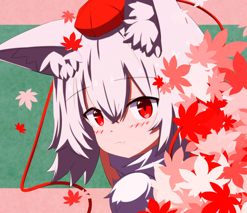 1girl :3 absurdres animal_ear_fluff animal_ears blush close-up closed_mouth commentary crossed_bangs double-parted_bangs falling_leaves fang floating_hair green_background hair_between_eyes hat highres hippo_tata inubashiri_momiji leaf maple_leaf medium_hair pink_background pom_pom_(clothes) red_eyes red_hat shirt solo split_mouth tokin_hat touhou upper_body white_hair white_shirt wolf_ears wolf_girl