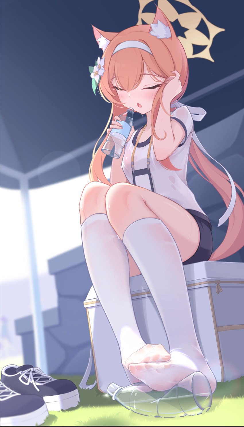 1girl absurdres animal_ear_fluff animal_ears ass black_shorts blue_archive blurry bottle box cat_ears cat_girl collarbone commentary_request cooler depth_of_field drinking flower grass gym_shirt gym_shorts gym_uniform hair_between_eyes hair_flower hair_ornament halo headband highres holding holding_bottle id_card kneehighs lanyard long_hair low_ponytail mari_(blue_archive) mari_(track)_(blue_archive) no_shoes official_alternate_costume official_alternate_hairstyle on_box orange_hair outdoors parted_lips plastic_bottle ponytail seagateee see-through_clothes see-through_shirt shirt shoes short_sleeves shorts sidelocks sitting sitting_on_box sneakers socks soles solo sports_festival stadium sweatdrop unworn_shoes water_bottle white_shirt white_socks