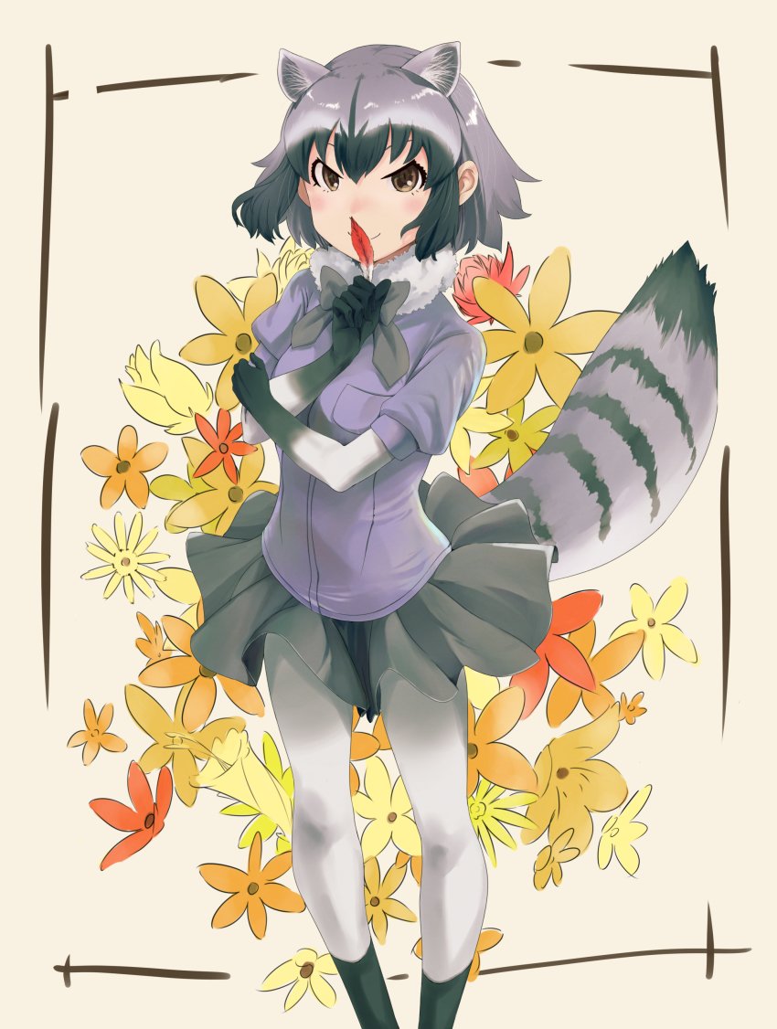 10s absurdres animal_ears blush brown_eyes common_raccoon_(kemono_friends) feathers flower grey_hair highres kemono_friends looking_at_viewer pantyhose pleated_skirt siva_ryo skirt smile solo tail white_pantyhose