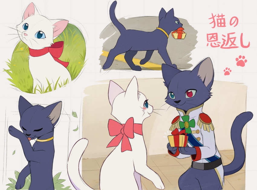 animal animal_focus aseethe blue_eyes bow cat clothed_animal collar copyright_name epaulettes formal_clothes heterochromia highres holding licking mouth_hold multiple_views neko_no_ongaeshi no_humans prince_lune red_bow tail translation_request walking yuki_(neko_no_ongaeshi)