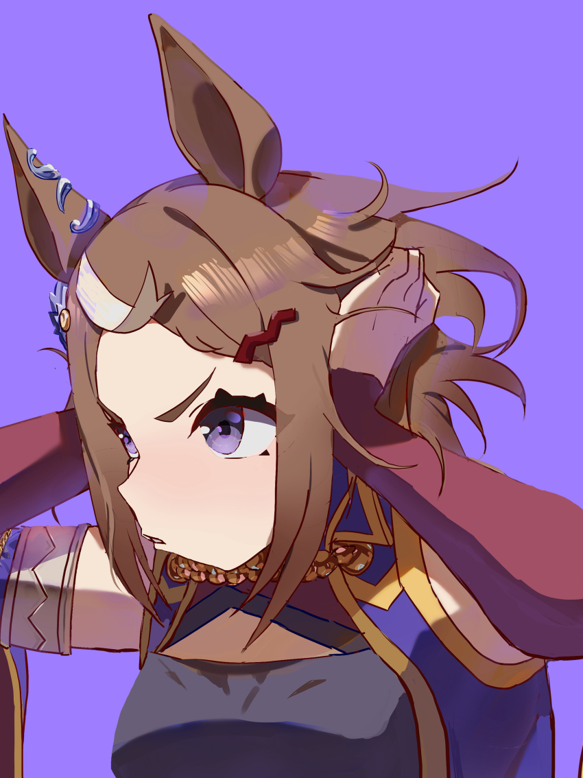 1girl absurdres animal_ears arms_up breasts brown_hair commentary_request detached_sleeves ear_ornament hair_ornament hairclip highres horse_ears horse_girl long_sleeves looking_to_the_side multicolored_hair no_uwazumi purple_background purple_eyes simple_background small_breasts solo streaked_hair tsurumaru_tsuyoshi_(umamusume) umamusume upper_body white_hair
