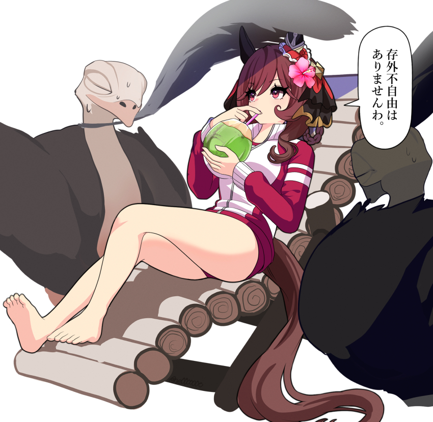 animal_ears barefoot bird braid braided_hair_rings brown_hair buruma closed_eyes commentary cup drinking ear_covers gentildonna_(umamusume) gym_uniform hair_rings heart-shaped_ornament heart_ear_ornament highres holding holding_cup horse_ears horse_girl jacket looking_to_the_side ne000000t ostrich red_buruma red_eyes red_jacket shade simple_background sitting tracen_training_uniform track_jacket translated umamusume white_background