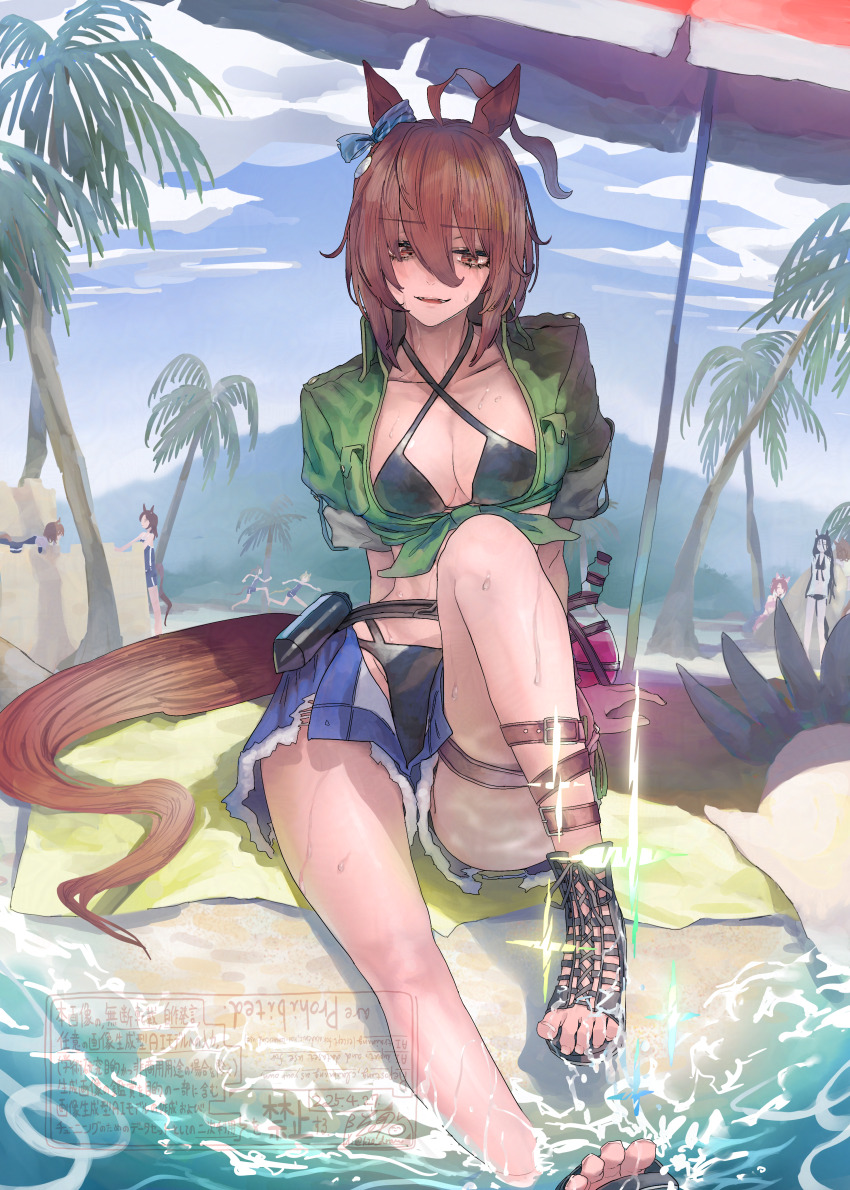 6+girls absurdres agnes_tachyon_(lunatic_lab)_(umamusume) agnes_tachyon_(umamusume) ahoge animal_ears arm_support belt bikini black_bikini black_gloves breasts brown_hair caustics cleavage criss-cross_halter cutoffs dantsu_flame_(umamusume) denim denim_shorts ear_covers ear_ornament facing_viewer feet flask full_body gloves green_jacket halterneck highres holding holding_flask horse_ears horse_girl horse_tail jacket jam_(umamusume) jungle_pocket_(tobasuze_hot_summer!)_(umamusume) jungle_pocket_(umamusume) knee_up manhattan_cafe_(the_bubbles_that_i_see_with_you)_(umamusume) manhattan_cafe_(umamusume) multiple_girls navel open_clothes open_fly open_mouth open_shorts partially_submerged pouch round-bottom_flask sandals short_hair short_shorts shorts single_glove sitting small_breasts smile solo_focus swimsuit tail tied_jacket toes tonariuta torn_clothes torn_shorts umamusume water watermark wet