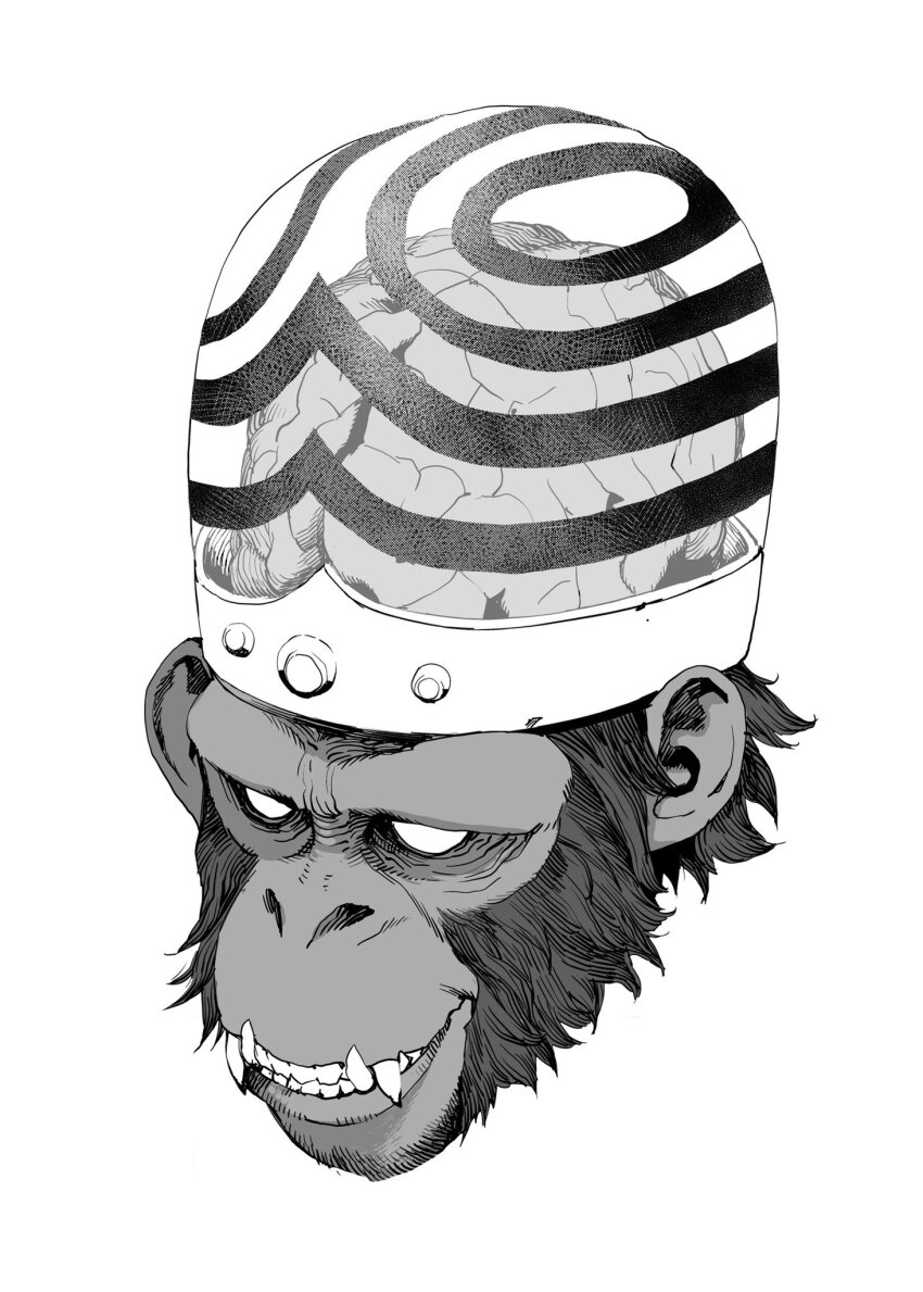 1boy body_fur brain brain_capsule cropped_head greyscale helmet highres manabu_yashiro mojo_jojo monkey monkey_boy monochrome no_pupils powerpuff_girls sharp_teeth solo striped_brain_capsule teeth transparent_brain_capsule