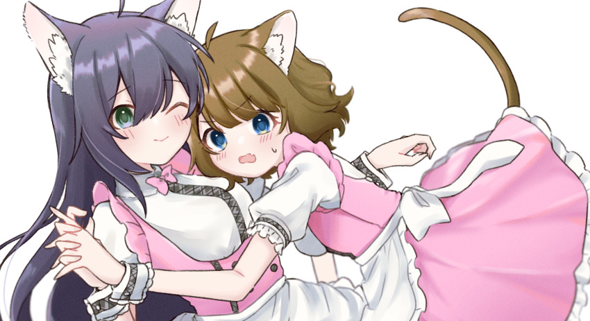 2girls ahoge animal_ear_fluff animal_ears apron blue_eyes blunt_bangs blush bow bowtie breasts brown_hair cat_ears cat_tail closed_mouth collar collared_shirt double-parted_bangs dress eyelashes fang frilled_apron frilled_sleeves frills green_eyes hair_between_eyes highres holding_hands idolmaster idolmaster_million_live! idolmaster_million_live!_theater_days interlocked_fingers long_hair medium_breasts medium_hair mochizuki_anna multiple_girls no_nose official_alternate_costume one_eye_closed open_mouth pink_bow pink_bowtie pink_dress pretty_waitress_(idolmaster) puffy_short_sleeves puffy_sleeves purple_hair shirototo shirt short_sleeves simple_background skin_fang small_breasts suou_momoko sweat tail upper_body waist_apron waist_ribbon wavy_hair wavy_mouth white_apron white_background white_collar white_shirt