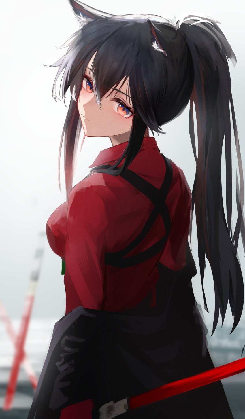 1girl absurdres animal_ear_fluff animal_ears arknights backlighting black_hair black_jacket blue_eyes blurry blurry_background breasts chest_harness closed_mouth collared_shirt commentary depth_of_field dress_shirt expressionless eyelashes film_grain from_behind gloves hair_between_eyes hair_flowing_over harness high_collar highres holding holding_sword holding_weapon jacket layered_sleeves long_bangs long_hair long_sleeves looking_at_viewer looking_back medium_breasts multicolored_eyes multiple_swords multiple_weapons nekomatamago off_shoulder official_alternate_costume open_clothes open_jacket orange_eyes planted planted_sword planted_weapon ponytail red_gloves red_shirt shirt sidelocks solo standing straight_hair swept_bangs sword texas_(arknights) texas_(willpower)_(arknights) two-tone_eyes upper_body weapon white_background wing_collar wolf_ears wolf_girl