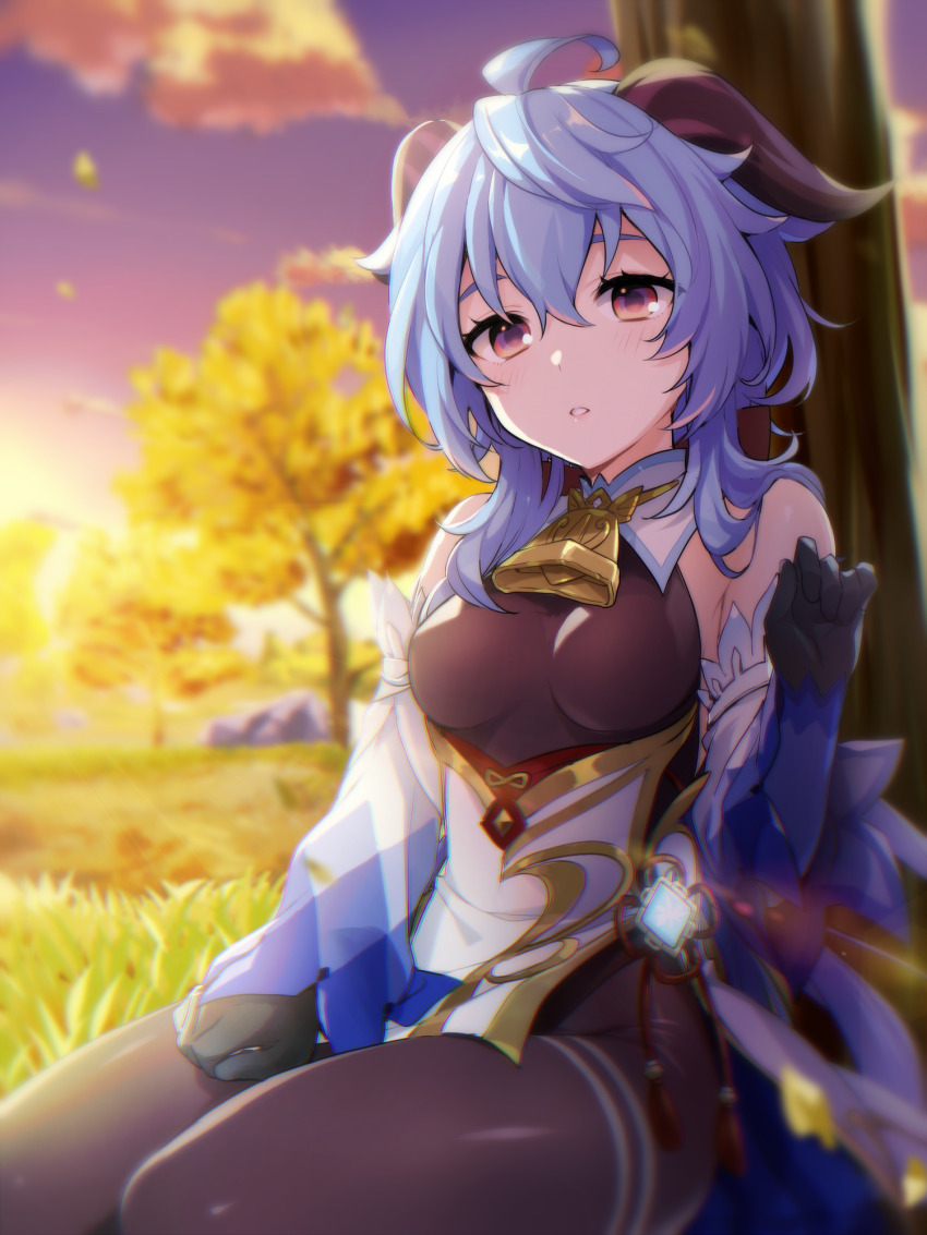 1girl against_tree ahoge autumn bare_shoulders bell black_gloves blue_hair blush bodystocking breasts brown_pantyhose commentary_request detached_sleeves evening flower_knot ganyu_(genshin_impact) genshin_impact gloves glowing gradient_sky hand_up highres horns long_hair long_sleeves looking_at_viewer medium_breasts memeno on_grass on_ground outdoors pantyhose parted_lips pink_eyes purple_sky red_ribbon revision ribbon sitting sky solo sunlight sunset tassel thighs tree twilight very_long_hair