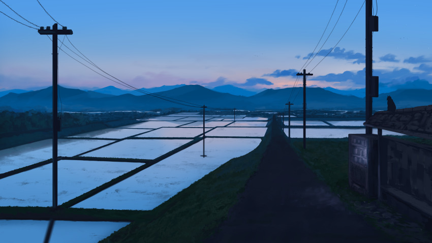 absurdres animal cat cloud commentary dusk english_commentary highres mmair mountainous_horizon no_humans original power_lines purple_eyes reflection reflective_water rice_paddy road scenery sky utility_pole vending_machine water