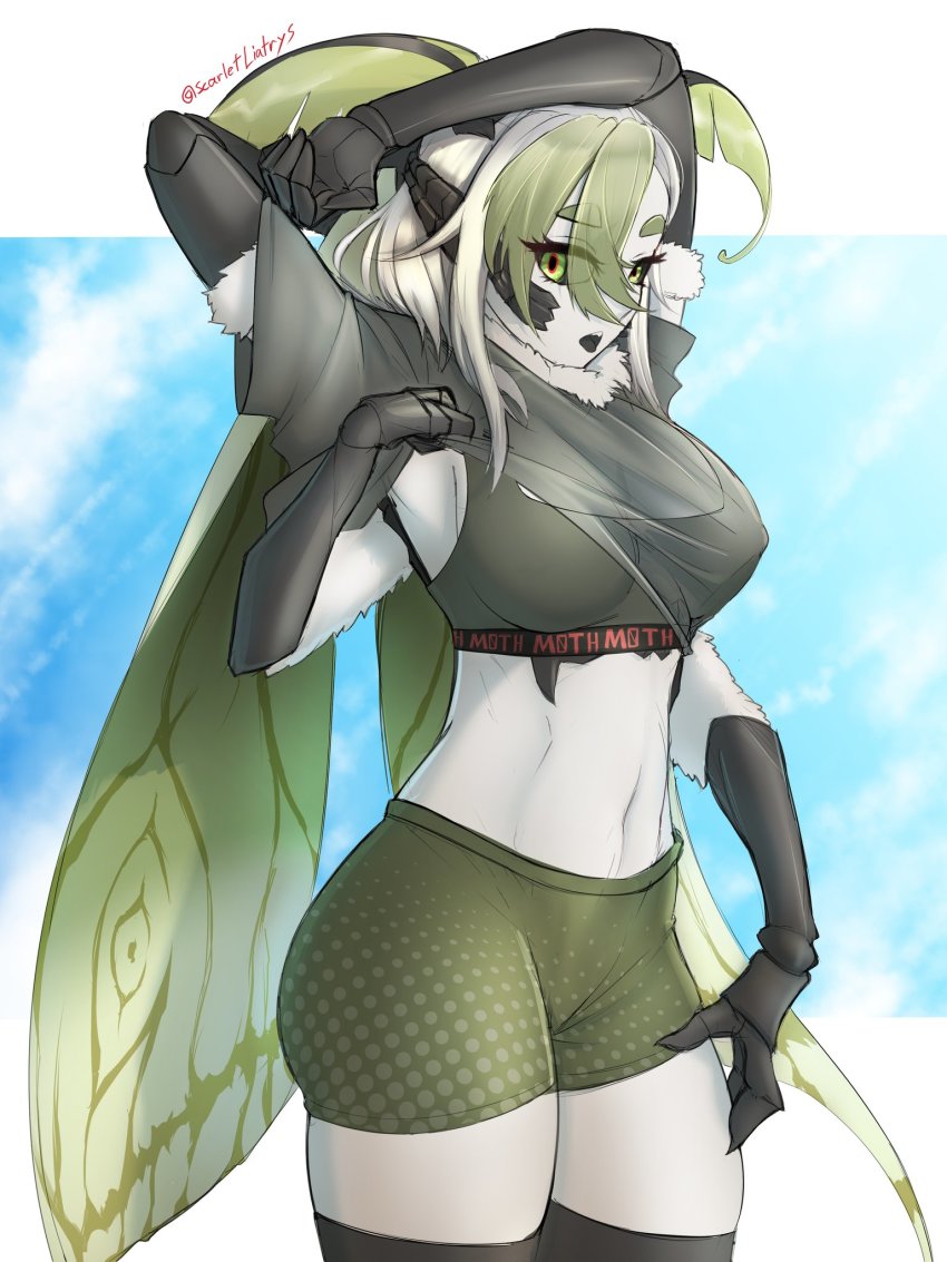 1girl antennae arthropod_girl bike_shorts black_sclera black_tongue breasts bug colored_sclera colored_skin extra_arms head_wings highres indie_virtual_youtuber insect insect_girl juniper_actias midriff moth moth_girl navel open_mouth shirt sports_bra stomach thick_thighs thighhighs thighs virtual_youtuber white_skin wings