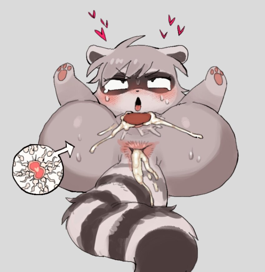 1boy 1girl after_anal after_vaginal animal_ears batrobin_k blue_eyes cum cum_in_pussy domino_mask fertilization furry furry_female grey_background highres impregnation mask original ovum pawpads raccoon raccoon_ears raccoon_girl raccoon_tail short_hair simple_background sperm_cell tail