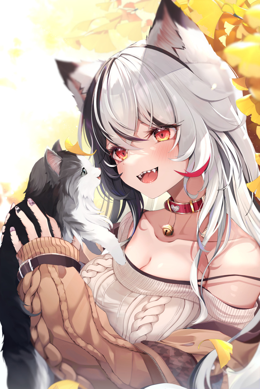 1girl :d animal animal_ears aran_sweater autumn bare_shoulders bell black_hair black_nails breasts brown_jacket cable_knit cat cat_ears cleavage collar collarbone commentary_request eye_contact ginkgo_leaf grey_eyes grey_hair grey_sweater hair_between_eyes highres holding holding_animal jacket jingle_bell leaf long_sleeves looking_at_another medium_breasts multicolored_hair nail_polish neck_bell off-shoulder_sweater off_shoulder open_clothes open_jacket open_mouth original profile puffy_long_sleeves puffy_sleeves purple_nails red_collar red_eyes sharp_teeth shiira_(nya_rl) sleeves_past_wrists smile solo sweater teeth two-tone_hair upper_body virtual_youtuber