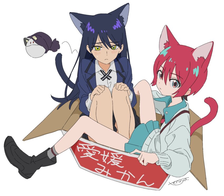 2girls amate_yuzuriha animal_ears aqua_eyes aqua_shirt aqua_skirt beanie black_hair black_shoes blue_jacket blush box cardboard_box cat_ears cat_tail collared_shirt commentary_request grey_socks gundam gundam_gquuuuuux haro hat highres in_box in_container jacket kemonomimi_mode long_hair long_sleeves multiple_girls nyaan_(gundam_gquuuuuux) red_hair shirt shoes short_hair signature skirt socks sweater tail teruya_(6w6y) translation_request white_shirt white_sweater yellow_eyes