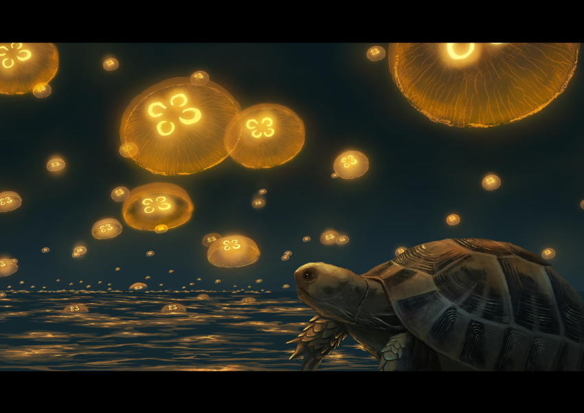 absurdres animal animal_focus glowing_animal highres jellyfish night night_sky no_humans original outdoors sky sumassha_t_t tortoise turtle water