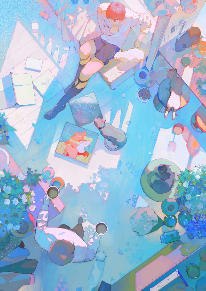 2boys absurdres black_cat black_shorts cat cup flower from_above highres holding holding_cup long_sleeves male_focus multiple_boys original pillow plant potted_plant purple_flower red_hair shadow shirt short_hair shorts sitting white_flower white_shirt xiaoquandianer