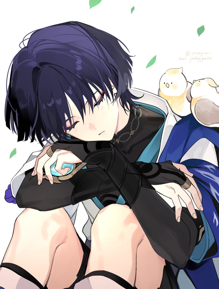 1boy animal animal_on_shoulder artist_name bird bird_on_shoulder black_shirt black_shorts blue_cape bridal_gauntlets cape choppy_bangs closed_eyes closed_mouth covered_collarbone crossed_arms eyeshadow genshin_impact hair_between_eyes hair_intakes hashtag-only_commentary highres holding jacket kayu_(yukagoin) knees_up makeup male_focus open_clothes open_jacket purple_hair red_eyeshadow scaramouche_(genshin_impact) shirt short_hair short_sleeves shorts simple_background sitting sleeping solo twitter_username vision_(genshin_impact) wanderer_(genshin_impact) white_background white_jacket