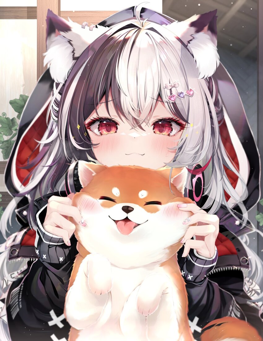 1girl :3 ^_^ amane_shiira animal animal_ear_fluff animal_ears black_hair black_jacket blush cat_ears cat_girl cheek_pinching cheek_pull closed_eyes dog fang fang_out headphones headphones_around_neck highres hood hood_up hooded_jacket indie_virtual_youtuber jacket long_hair long_sleeves looking_at_viewer multicolored_hair pinching red_eyes shiba_inu shiira_(nya_rl) sleeves_past_wrists smile sweat tongue tongue_out two-tone_hair virtual_youtuber white_hair