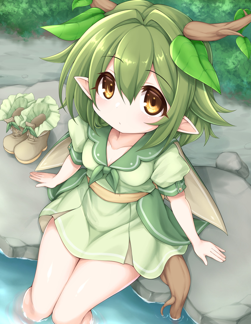 1girl absurdres branch brown_eyes collared_dress dress green_dress green_hair hair_intakes highres kinomiki_nobori leaf leaf_on_head legs legs_together looking_at_viewer medium_hair monster_girl original outdoors plant_girl plant_roots pointy_ears puffy_short_sleeves puffy_sleeves sash short_sleeves sitting soaking_feet solo tareme unworn_footwear