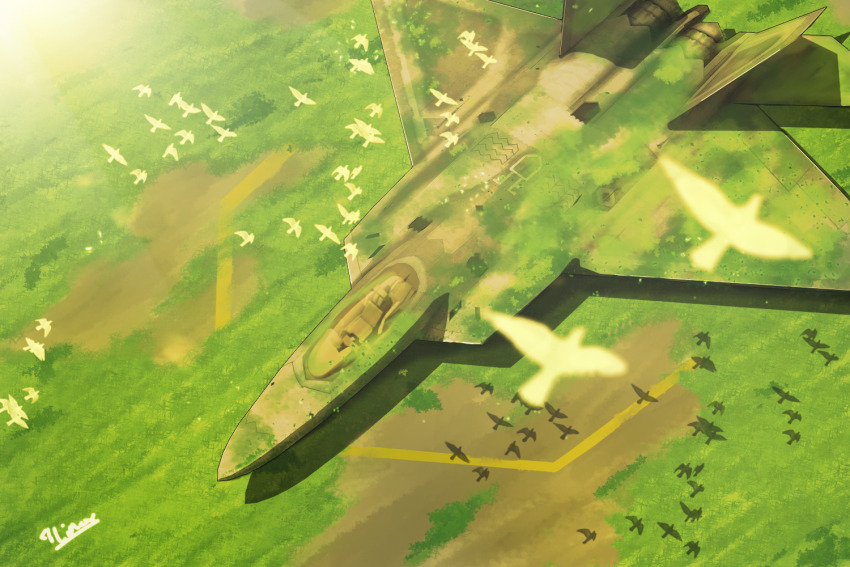 aircraft airplane bird camouflage day f-22_raptor fighter_jet grass grasslands line4x military military_vehicle no_humans original raptor scenery shadow sunlight too_many too_many_birds