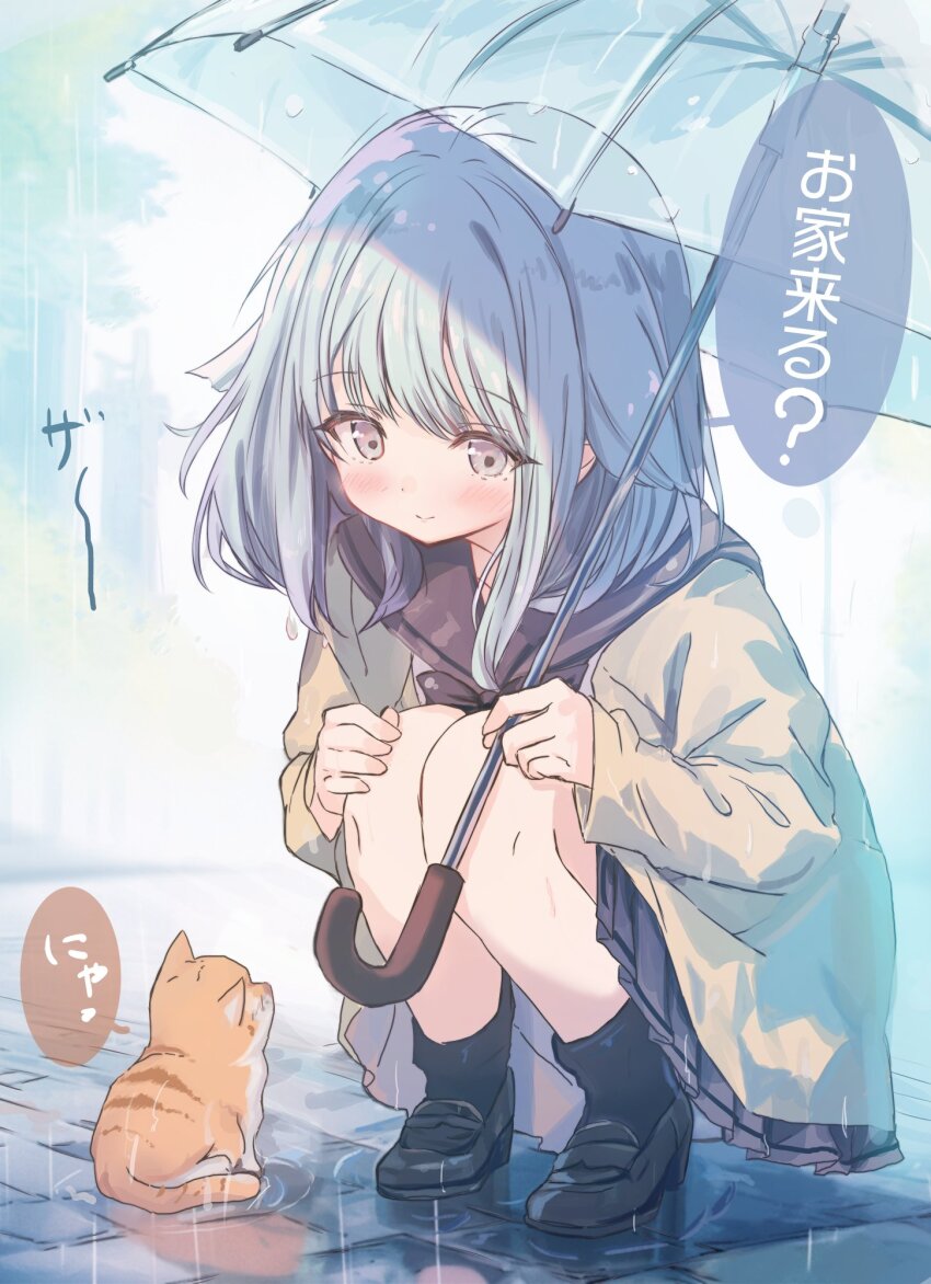 1girl black_bow black_bowtie black_shoes black_socks blue_hair blue_skirt blush bow bowtie cardigan closed_mouth commentary_request cutlass_(classic_chocolate) full_body green_cardigan grey_eyes highres holding holding_umbrella long_sleeves orange_cat original pleated_skirt rain shoes short_hair skirt smile socks solo speech_bubble squatting translation_request transparent transparent_umbrella umbrella