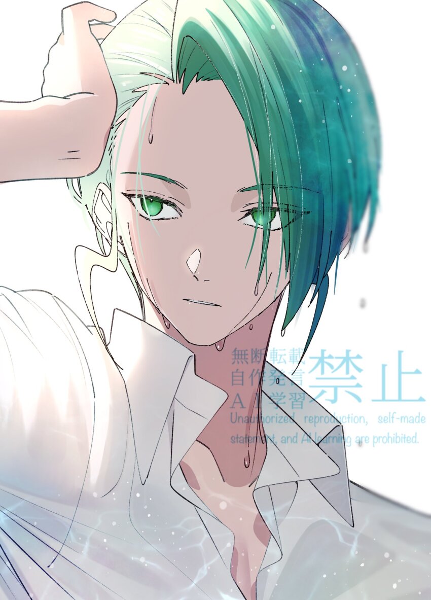 1girl alternate_costume arm_up collared_shirt commentary_request green_eyes green_hair highres kana_(kanna_runa0620) looking_to_the_side nintendo no_pupils parted_lips pokemon pokemon_rse shirt short_hair simple_background solo sweat upper_body wallace_(pokemon) watermark white_background white_shirt