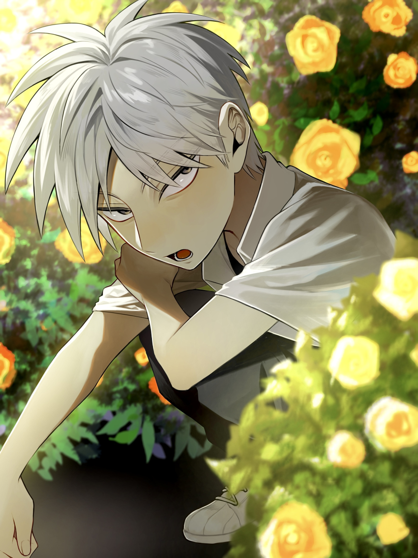 1boy absurdres akagi:_yami_ni_oritatta_tensai akagi_shigeru black_pants blurry blurry_background commentary_request flower fukumoto_mahjong full_body grey_eyes grey_hair highres looking_at_viewer male_focus niwatori_panda open_mouth pants shirt short_hair short_sleeves solo squatting white_shirt yellow_flower