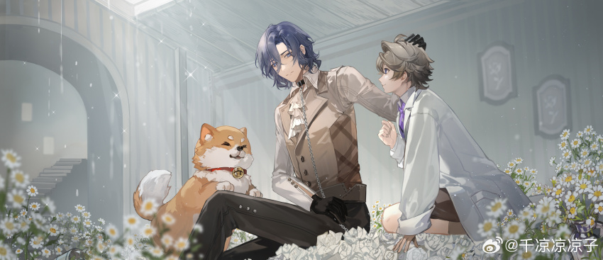 2boys absurdres akita_inu arch ascot bell black_collar black_gloves black_pants blue_eyes blue_hair blurry brown_shorts brown_socks brown_vest chain chain_leash closed_mouth collar collared_shirt cuff_links curtained_hair daisy depth_of_field dog eye_contact feet_out_of_frame field flower flower_field gloves grey_hair hair_between_eyes hand_up headpat highres indoors jacket jingle_bell knee_up leash long_sleeves looking_at_another male_focus multiple_boys necktie open_clothes open_jacket painting_(object) pants profile project_soul purple_necktie rose seiza senryoko shirt short_hair shorts sideways_glance sitting smile socks sparkle stairs sunlight vest watermark wavy_hair weibo_watermark white_ascot white_flower white_jacket white_rose white_shirt zenger_(project_soul)