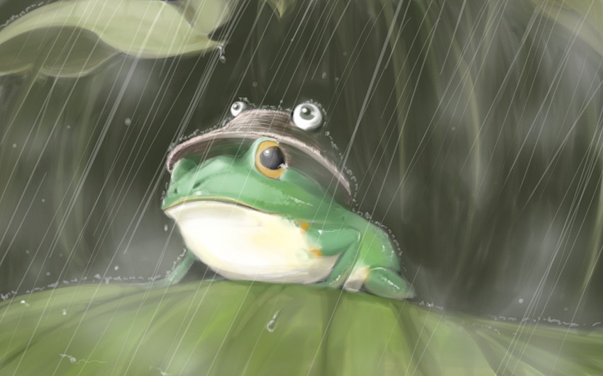 animal animalization frog hat leaf moriya_suwako moriya_suwako_(frog) no_humans rain retasu touhou