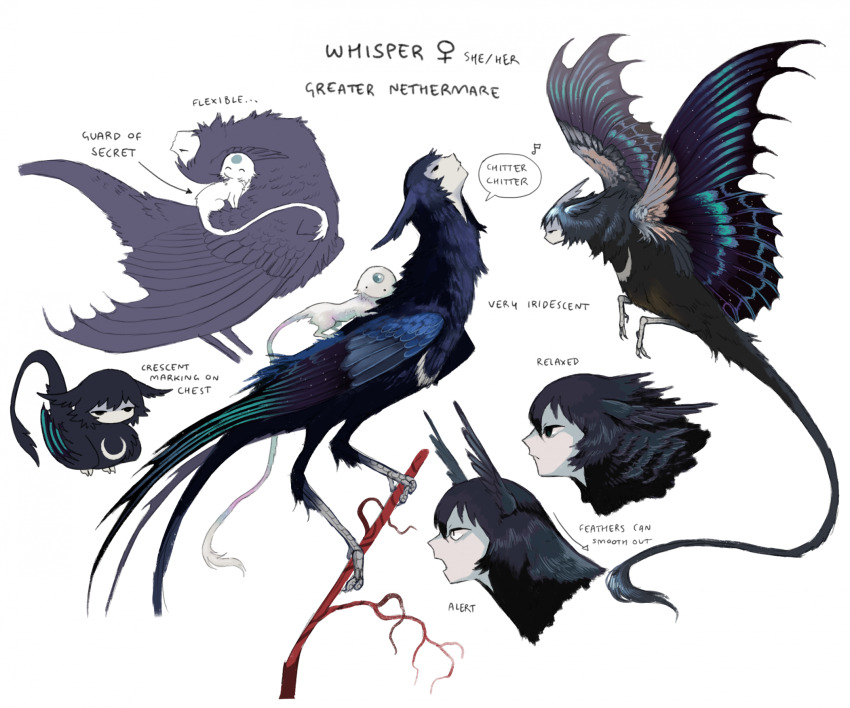 bird blue_feathers blue_hair blue_wings body_fur closed_eyes closed_mouth creature expressionless fantasy feathers green_wings harpy highres jejejunum looking_up monster_girl multicolored_feathers on_branch original reference_sheet secret_(jejejunum) venus_symbol whisper_(jejejunum) white_fur white_tail wings