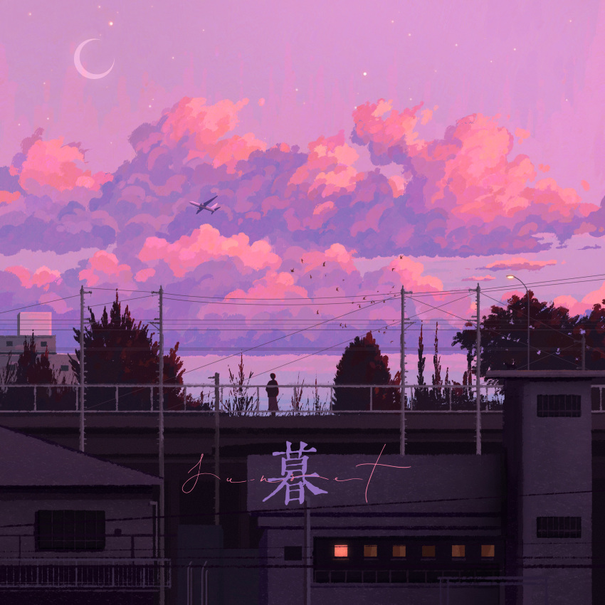 1girl absurdres aircraft airplane bird building cloud crescent_moon english_text evening fangpeii highres jet_airliner lamppost moon original outdoors power_lines purple_skirt scenery skirt star_(sky) tree very_wide_shot