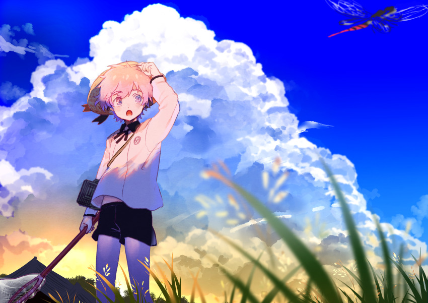 1boy absurdres adjusting_clothes adjusting_headwear akita_toushirou black_ribbon black_shorts blue_eyes bug butterfly_net cloud day dragonfly grass hand_net hat highres holding holding_butterfly_net huge_filesize insect bug_cage jun_(nad-j) long_sleeves male_focus neck_ribbon open_mouth outdoors pink_hair ribbon short_hair shorts solo sun_hat touken_ranbu twilight
