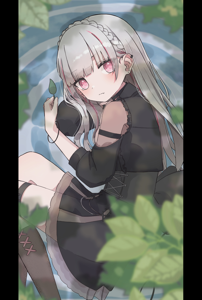 1girl armlet asumi_sena asumi_sena_(3rd_costume) black_choker black_dress black_socks bracelet braid cattleya_regina_games choker dress ear_piercing earrings grey_hair highres jewelry leaf long_hair looking_at_viewer multicolored_hair off-shoulder_dress off_shoulder piercing pillarboxed pink_eyes rezin531 ripples see-through_clothes see-through_sleeves socks solo streaked_hair virtual_youtuber vspo!