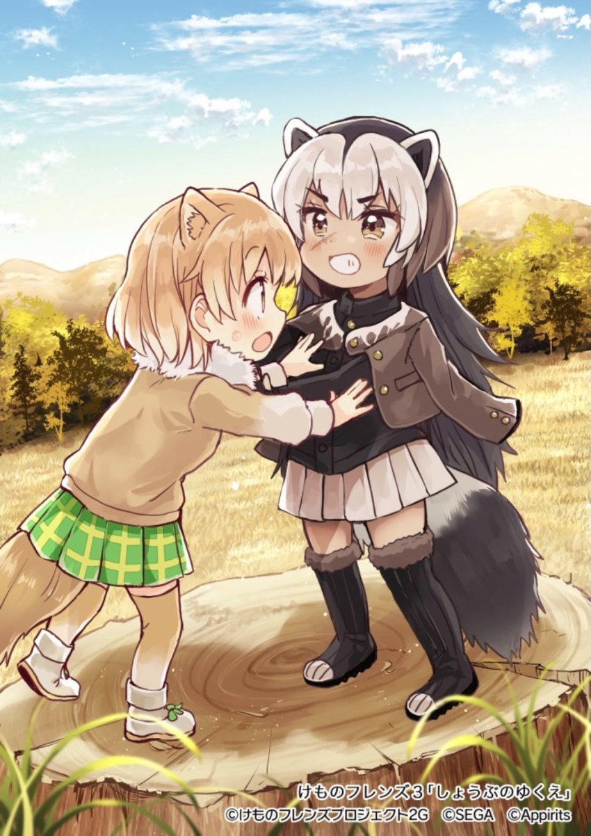 2girls animal_ears black-tailed_prairie_dog_(kemono_friends) black_footwear black_shirt blush boots brown_eyes brown_fur brown_hair brown_jacket brown_legwear brown_sweater collared_shirt commentary_request fur_collar fur_trim green_skirt grey_skirt highres jacket jacket_on_shoulders kemono_friends kemono_friends_3 light_brown_hair long_hair long_sleeves multicolored_hair multiple_girls official_art plaid_clothes plaid_skirt pleated_skirt sakura_oriko scar scar_on_face shirt short_hair skirt sweater tail thigh_boots thighhighs translation_request white_fur white_hair wolverine_(kemono_friends) zettai_ryouiki