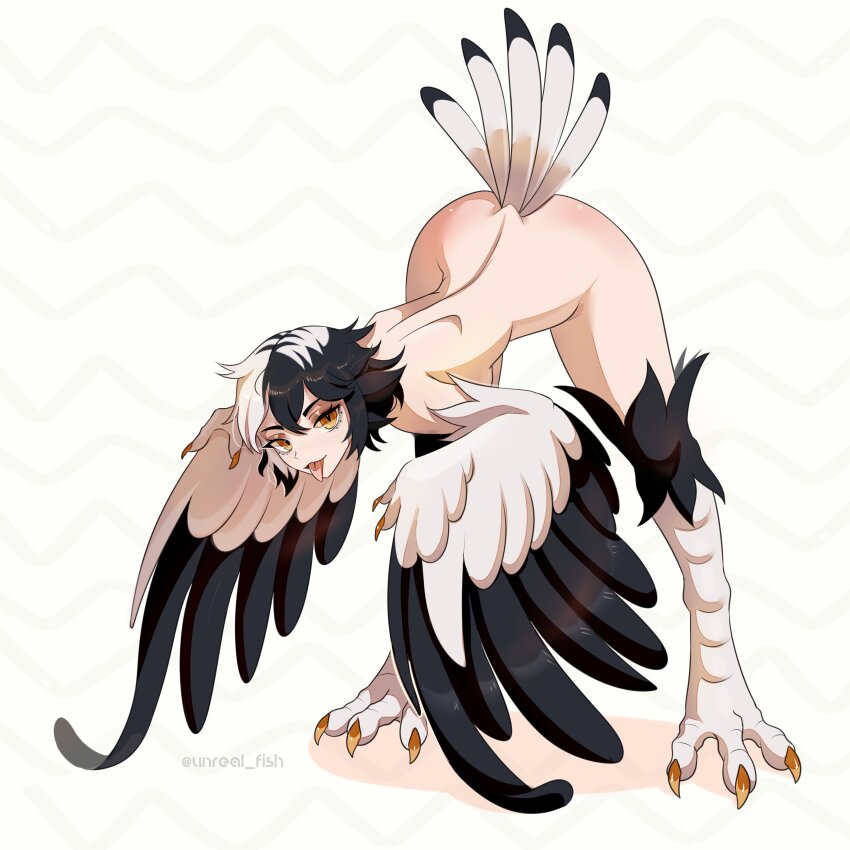1girl absurdres bird_legs bird_tail black_feathers black_hair claws commentary commission english_commentary feathered_wings feathers harpy highres leaning_forward looking_at_viewer monster_girl multicolored_hair nude original short_hair solo tail talons tongue tongue_out twitter_username two-tone_hair two-tone_wings unreal_fish white_feathers white_hair winged_arms wings yellow_eyes
