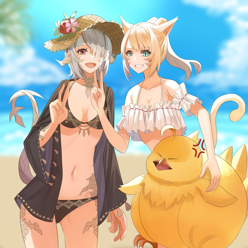 2girls anger_vein animal_ears au_ra beach bikini black_bikini blonde_hair blue_eyes blurry blurry_background breasts cat_ears cat_tail cleavage dragon_horns dragon_tail eyebrows_hidden_by_hair facial_mark fat_chocobo final_fantasy final_fantasy_xiv frilled_bikini frills hair_between_eyes hair_over_one_eye hat highres horns large_breasts looking_at_viewer miqo&#039;te multiple_girls ojiki open_mouth ponytail red_eyes scales short_hair slit_pupils smile straw_hat sun_hat swimsuit tail teeth v warrior_of_light_(ff14)