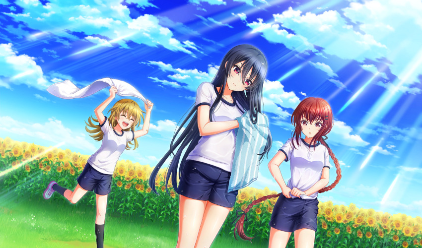 3girls :d ^_^ black_hair black_ribbon black_shorts black_socks blonde_hair braid braided_ponytail cinderella_series closed_eyes closed_mouth cloud drying drying_hair drying_own_hair dutch_angle field flower flower_field game_cg gym_shirt gym_shorts hachigatsu_no_cinderella_nine hair_between_eyes hair_ornament hair_ribbon hairclip highres holding holding_towel iwaki_yoshimi kurashiki_maiko light_rays long_hair multiple_girls non-web_source official_art on_grass open_mouth outdoors red_eyes red_hair ribbon shinonome_ryo shirt shoes short_sleeves shorts single_braid sky smile sneakers socks sunbeam sunflower sunflower_field sunlight teeth towel upper_teeth_only very_long_hair wet wet_clothes wet_hair wet_shirt wet_shorts white_shirt wringing_clothes