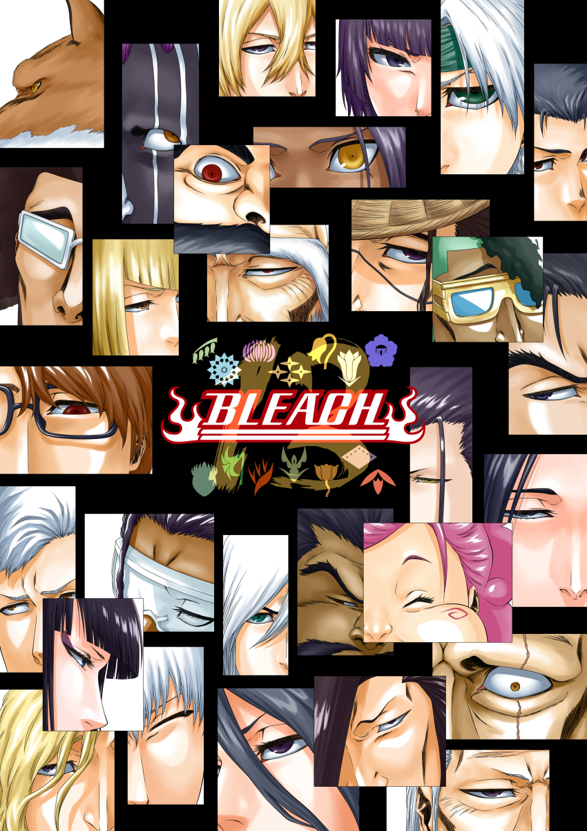 5girls 6+boys absurdres aikawa_love aizen_sousuke black_hair bleach blonde_hair brown_hair cheek_swirl ginjou_kuugo green_eyes highres hikifune_kirio hirako_shinji hitsugaya_toushirou hyosube_ichibei ichimaru_gin kenjiro_kirinji komamura_sajin kuchiki_byakuya kuchiki_ginrei kurosaki_isshin kurotsuchi_mayuri kyouraku_shunsui muguruma_kensei multiple_boys multiple_girls nimaiya_oetsu ootoribashi_roujuurou pink_hair purple_eyes purple_hair red_eyes shihouin_yoruichi shutara_senjumaru sui-feng tousen_kaname ukitake_juushirou unohana_retsu urahara_kisuke white_hair yamamoto-genryuusai_shigekuni yamamoto_genryuusai_shigekuni yellow_eyes zaraki_kenpachi