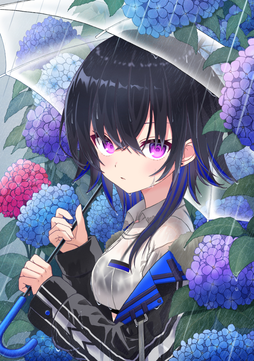 1girl black_hair black_jacket blue_hair closed_mouth flower from_side highres holding holding_umbrella hydrangea ichinose_uruha jacket kazumiya_yayoi looking_at_viewer multicolored_hair purple_eyes rain shirt solo streaked_hair transparent transparent_umbrella two-tone_hair umbrella virtual_youtuber vspo! wet wet_clothes wet_face wet_hair white_shirt