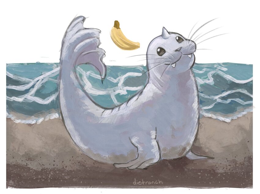artist_name banana border dewgong dietranch fangs food fruit gen_1_pokemon highres horns nintendo no_humans outdoors outside_border pokemon pokemon_(creature) sand single_horn solo water whiskers white_border
