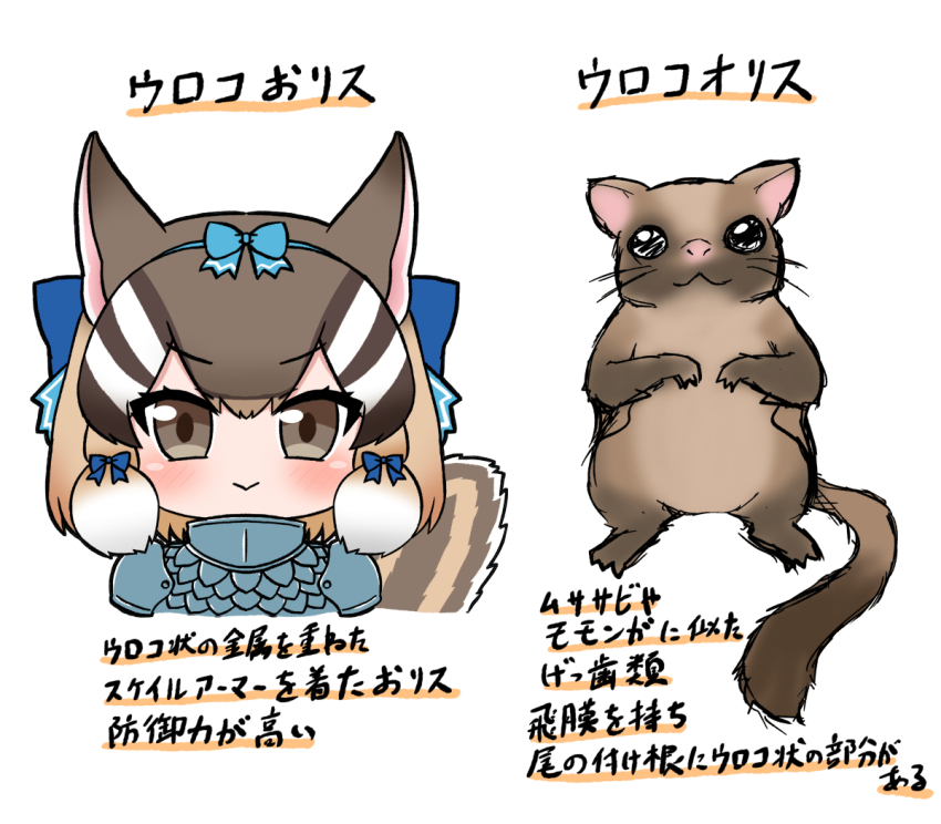 1girl animal animal_ears armor brown_eyes brown_hair chipmunk_ears chipmunk_girl chipmunk_tail extra_ears kemono_friends kemono_friends_v_project looking_at_viewer mabuta_(mbt) ribbon short_hair siberian_chipmunk_(kemono_friends) simple_background squirrel tail translation_request upper_body virtual_youtuber