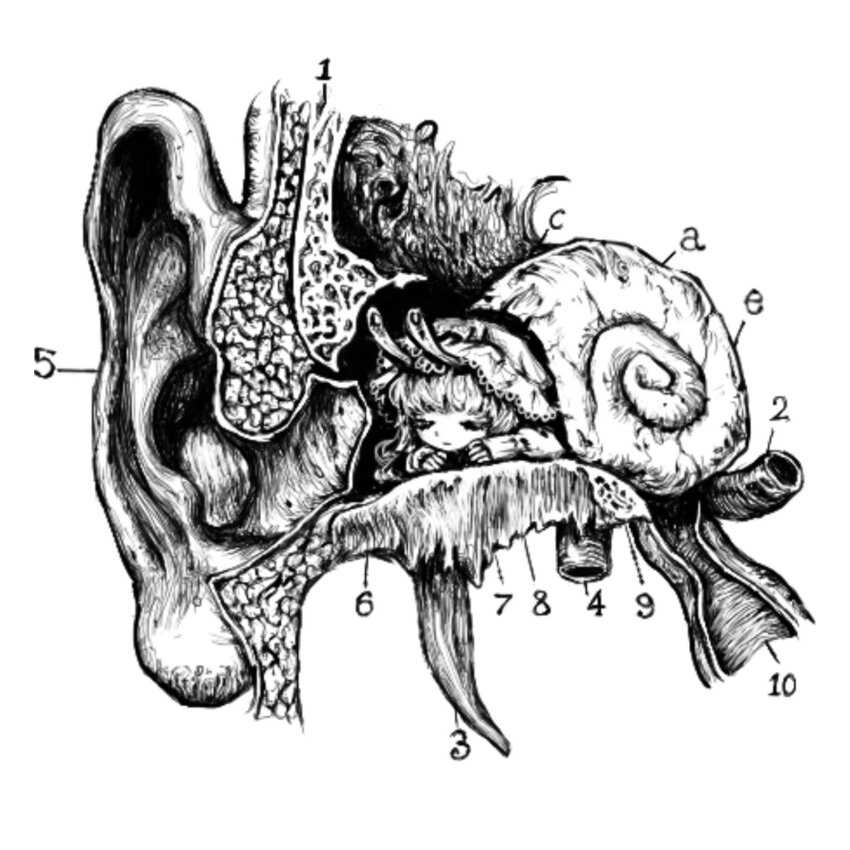 1girl antennae closed_eyes closed_mouth commentary cross-section ear_focus english_commentary greyscale hat highres mini_person minigirl mollymishy monochrome original simple_background snail_girl snail_shell white_background