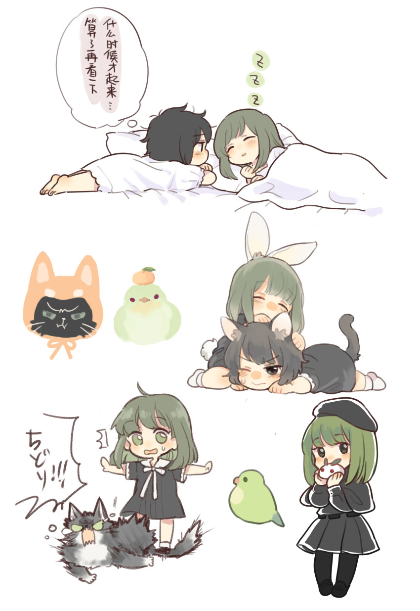 2girls ^^^ absurdres animal_ears animalization barefoot bed beret bird black_hair black_hat blanket blush cat cat_ears cat_tail chibi closed_eyes flowers_(innocent_grey) food fruit green_eyes green_hair hat highres keiya kemonomimi_mode long_hair long_sleeves lying mandarin_orange messy_hair multiple_girls multiple_views on_side on_stomach one_eye_closed open_mouth pajamas pantyhose pillow pleated_skirt rabbit_ears rabbit_tail ribbon school_uniform short_hair simple_background skirt sleeping snow_rabbit speech_bubble surprised sweatdrop tail takasaki_chidori thought_bubble translation_request under_covers white_background yaegaki_erika yuri zzz