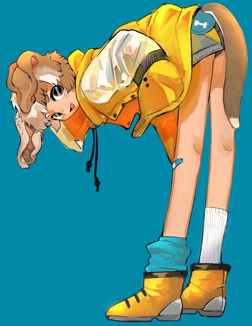 1boy absurdres animal_ears bent_over blue_background boots brown_eyes brown_hair coat commentary_request dog_boy dog_ears dog_tail freckles full_body grey_shorts hand_in_pocket highres looking_at_viewer looking_back male_focus mismatched_socks open_mouth original shima_(wansyon144) short_hair shorts simple_background solo standing tail yellow_boots yellow_coat