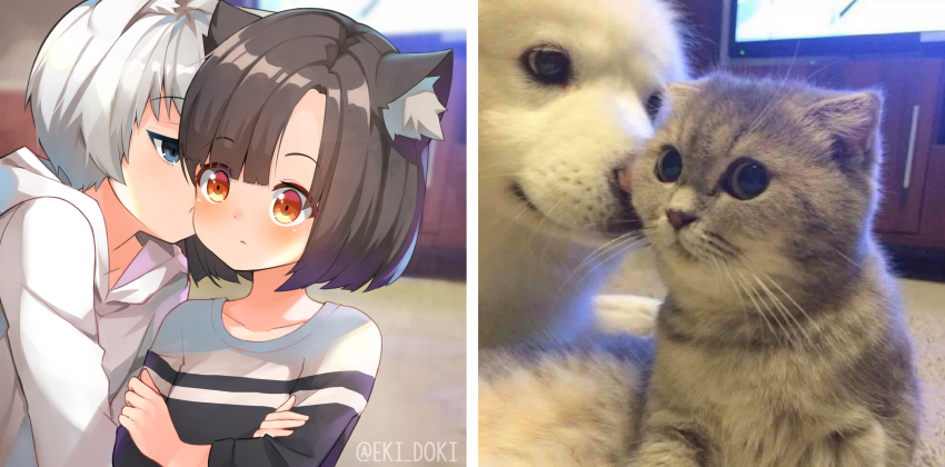 1boy 1girl animal_ears artist_name black_hair black_shirt blue_eyes blunt_bangs blurry blurry_background blush cabinet cat cat_ears cat_girl commentary crossed_arms dog dog_boy dog_ears eki_doki half-closed_eyes highres hood hood_down hoodie indoors instagram_username original parody personification photo-referenced photo_(medium) photo_background photo_inset red_eyes shirt short_hair television white_hair white_hoodie white_shirt