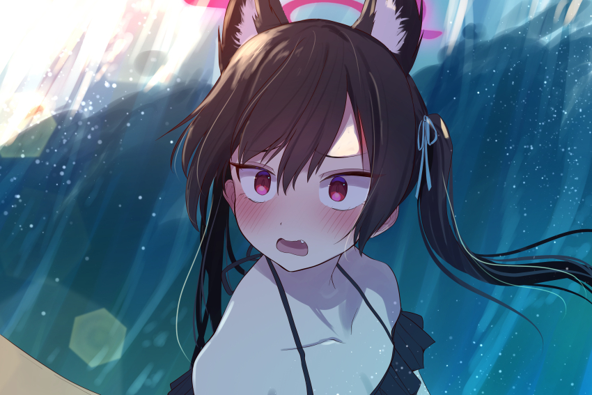 1girl animal_ear_fluff animal_ears bare_shoulders bikini black_bikini black_hair blue_archive blue_ribbon blush cat_ears cat_girl collarbone commentary day ear_blush extra_ears fang floating_hair frilled_bikini frills furrowed_brow hair_between_eyes hair_ribbon halo highres lens_flare long_hair looking_at_viewer off-shoulder_bikini off_shoulder official_alternate_costume open_mouth outdoors pink_halo portrait red_eyes ribbon serika_(blue_archive) serika_(swimsuit)_(blue_archive) shadow shitsugaikotsu solo swimsuit tsurime twintails water waves wide-eyed