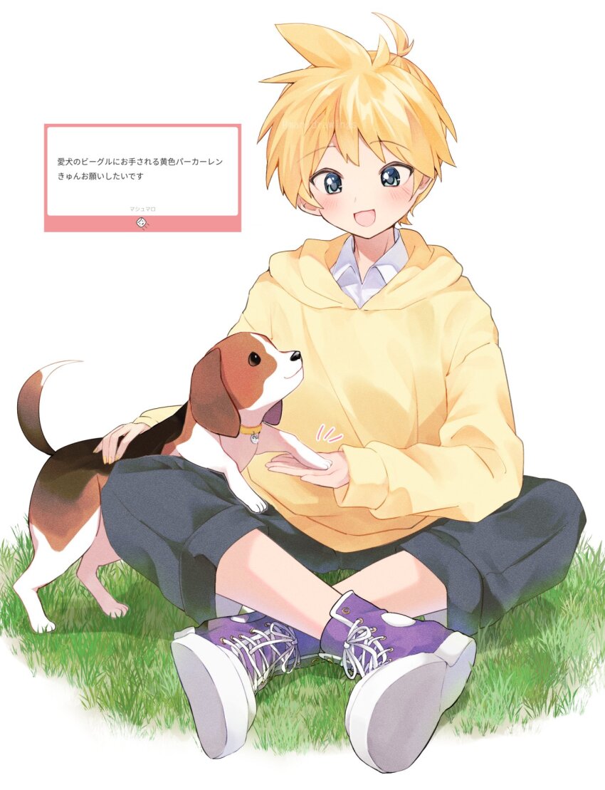 1boy :d beagle black_pants blonde_hair blue_eyes blush capri_pants collared_shirt commentary_request crossed_legs dog full_body grass highres hood hoodie kagamine_len long_sleeves mani_(manidrawings) marshmallow_(site) open_mouth pants petting ponytail purple_shoes shirt shoes short_hair short_ponytail sitting smile solo spiked_hair translation_request vocaloid white_shirt yellow_hoodie yellow_nails