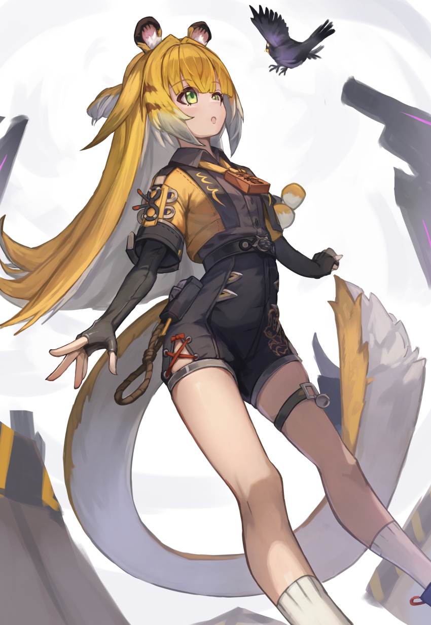 1girl absurdres animal_ear_fluff animal_ears bird blonde_hair green_eyes high-waist_shorts highres hime_cut ju_fufu long_hair looking_at_viewer orange_fur satonoko shorts simple_background smile solo striped_fur tail tiger_ears tiger_girl tiger_tail white_background zenless_zone_zero