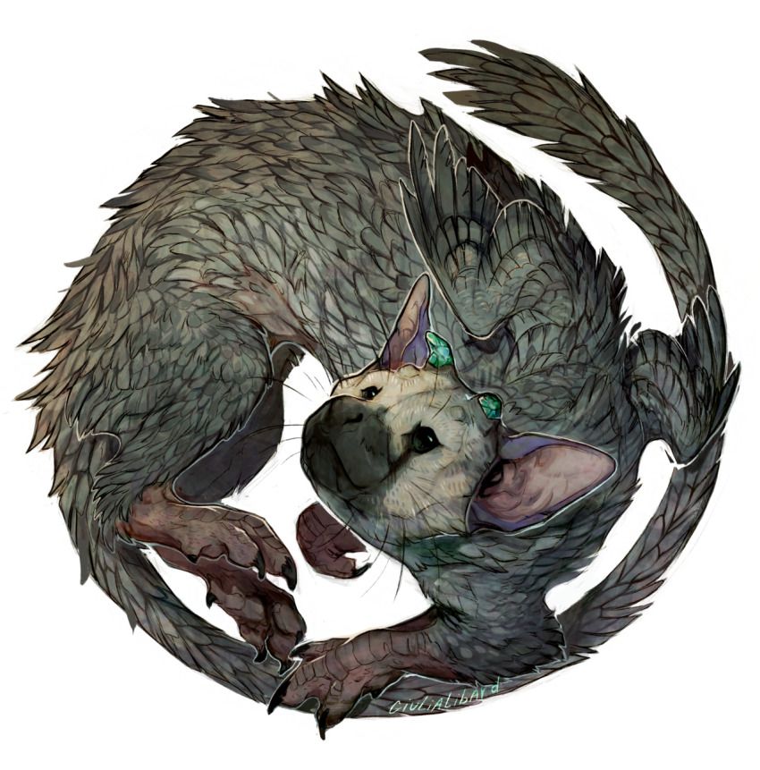 animal_focus black_eyes claws creature creature_focus curled_up feathered_wings fluffy giulialibard griffin highres long_tail looking_at_viewer no_humans realistic simple_background snout solo tail the_last_guardian trico_(character) whiskers white_background wings